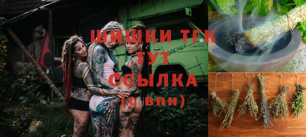 гашик Алексеевка
