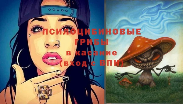 гашик Алексеевка