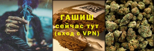 гашик Алексеевка