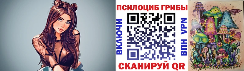 дарнет шоп  Ардатов  Псилоцибиновые грибы Magic Shrooms 